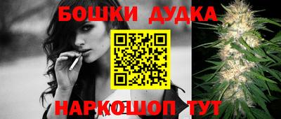 индика Ливны