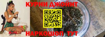 индика Ливны