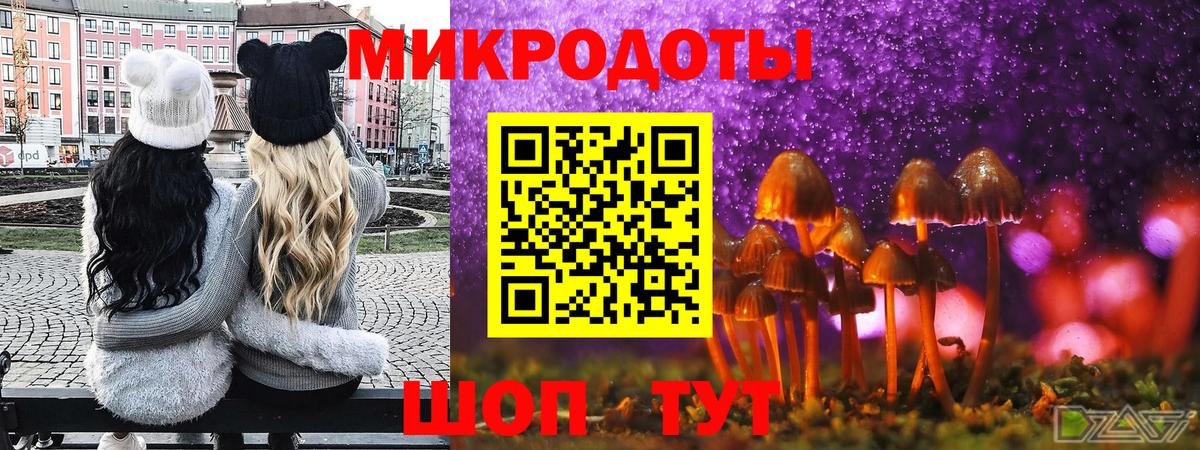 Галлюциногенные грибы GOLDEN TEACHER Гусь-Хрустальный