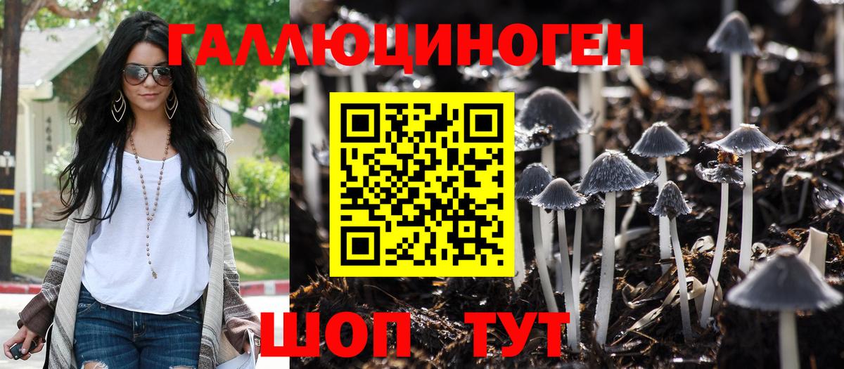 где купить наркотик  Галлюциногенные грибы Psilocybine cubensis  Вход с VPN  Гусь-Хрустальный  Псилоцибиновые грибы ЛСД 