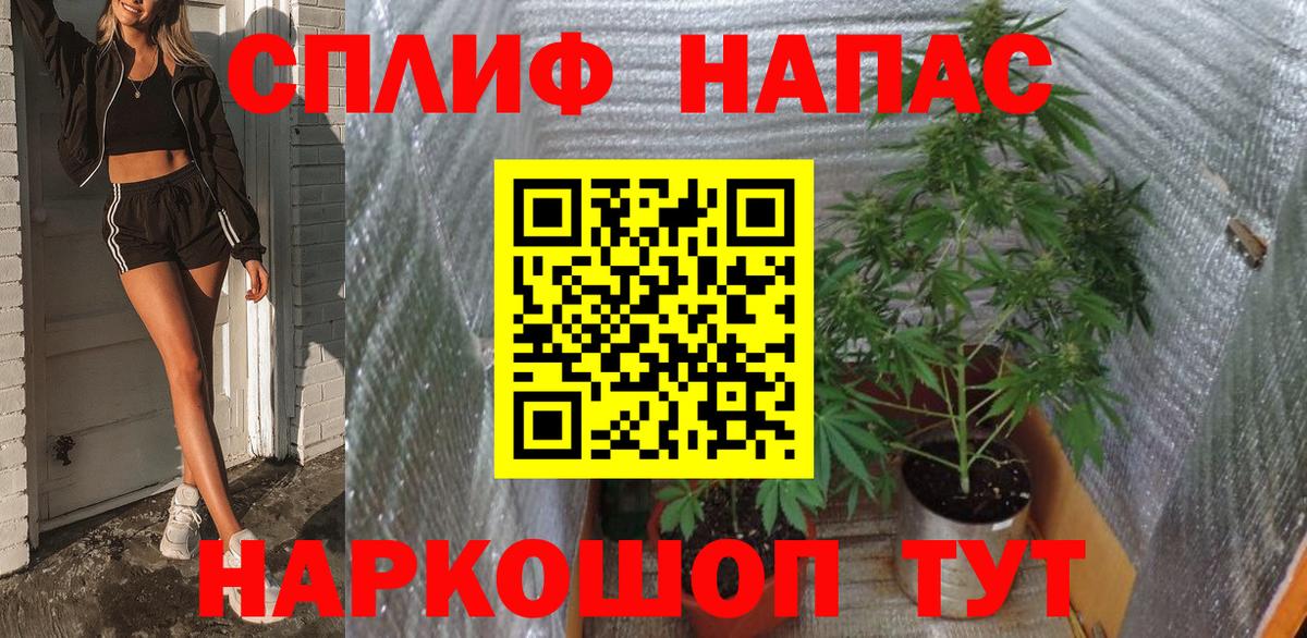 МАРИХУАНА ГИДРОПОН Гусь-Хрустальный